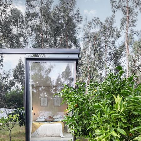 Villa No Jardim Dos Aromas Giao  Ngoại thất bức ảnh